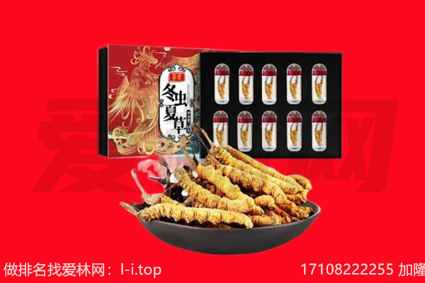 夏县回收虫草.jpg